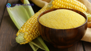 Jual Corn Gluten Meal -