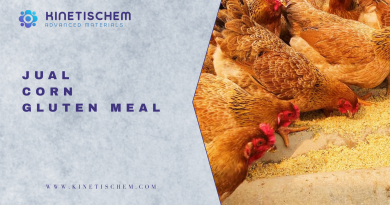 Jual Corn Gluten Meal