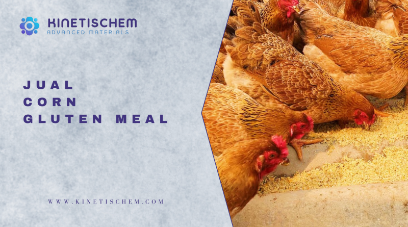 Jual Corn Gluten Meal