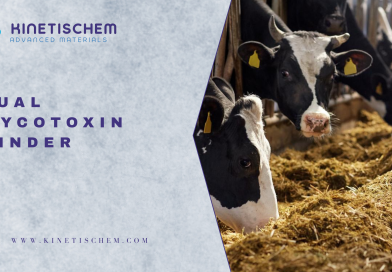 Jual Mycotoxin Binder