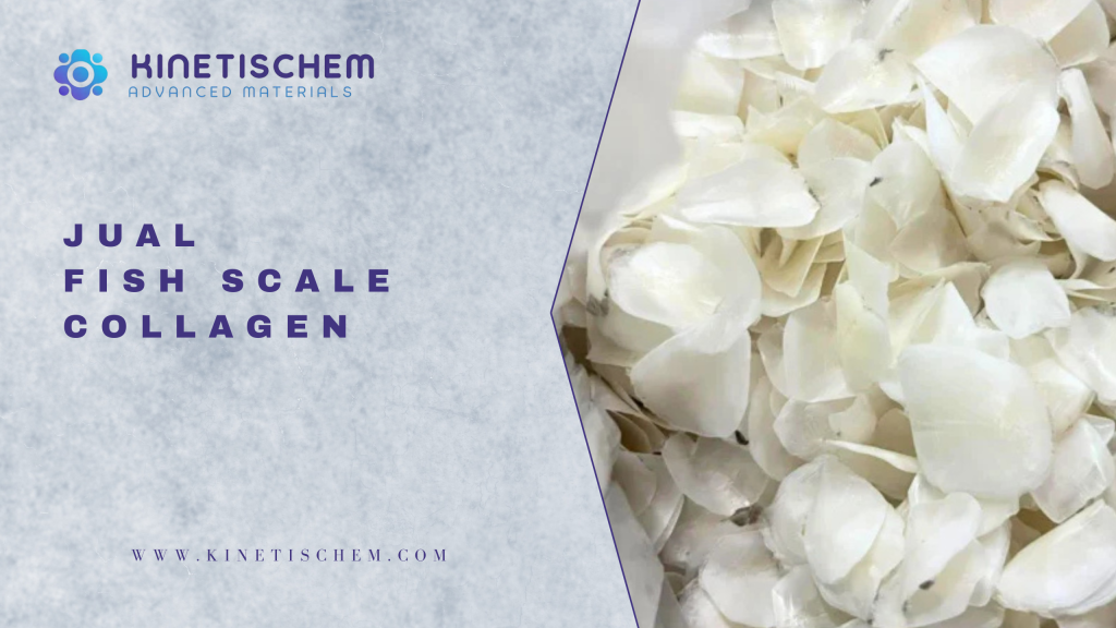 Fish Scale Collagen