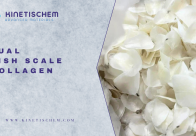 Jual Fish Scale Collagen