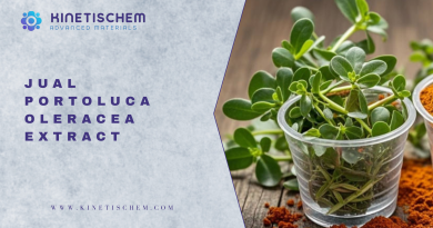 Jual Portoluca Oleracea Extract