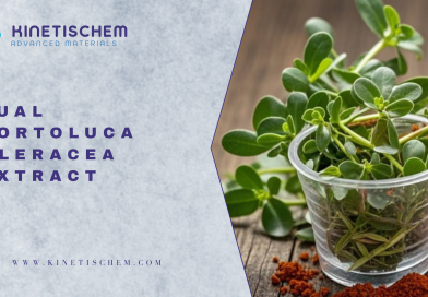 Jual Portoluca Oleracea Extract