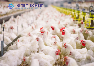 Jual Selenium 4.5% on Sand --