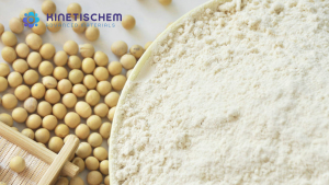 Jual Soya Protein Concentrate -