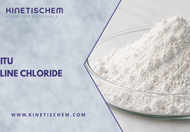 Apa Itu Choline Chloride
