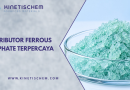Distributor Ferrous Sulphate Terpercaya